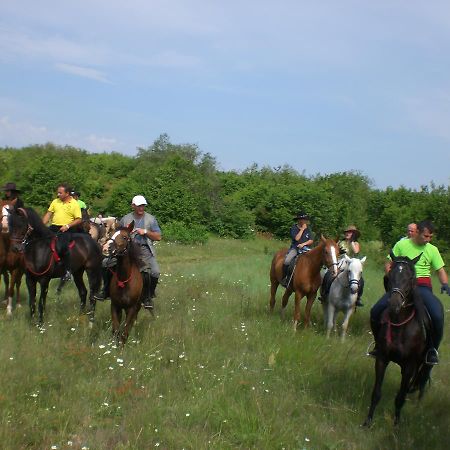 Ledenika Lodge Vratsa Buitenkant foto